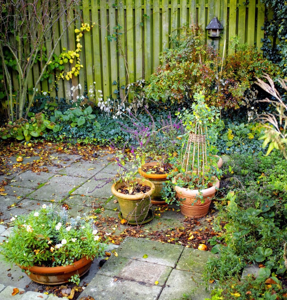 10 erreurs qui dévalorisent votre bien my private spot in the garden