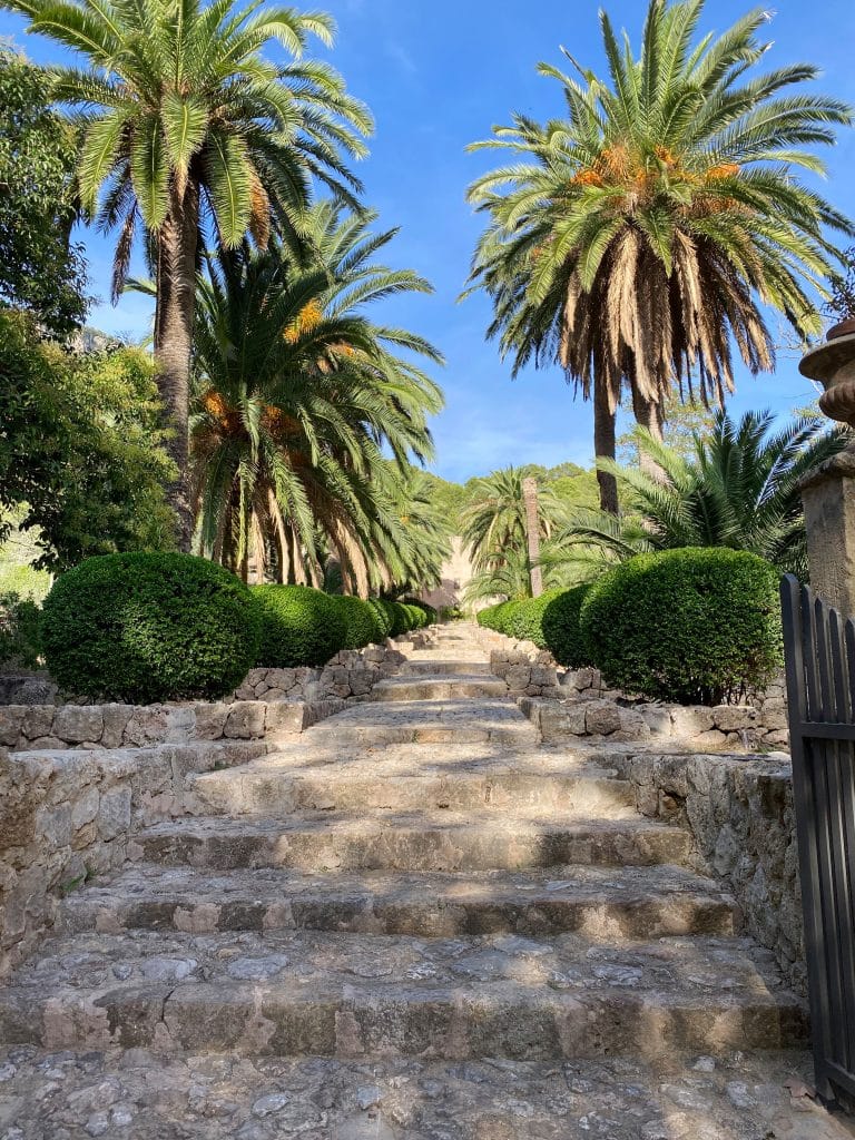 Pourquoi votre maison ne se vend pas ? beautiful garden in mallorca