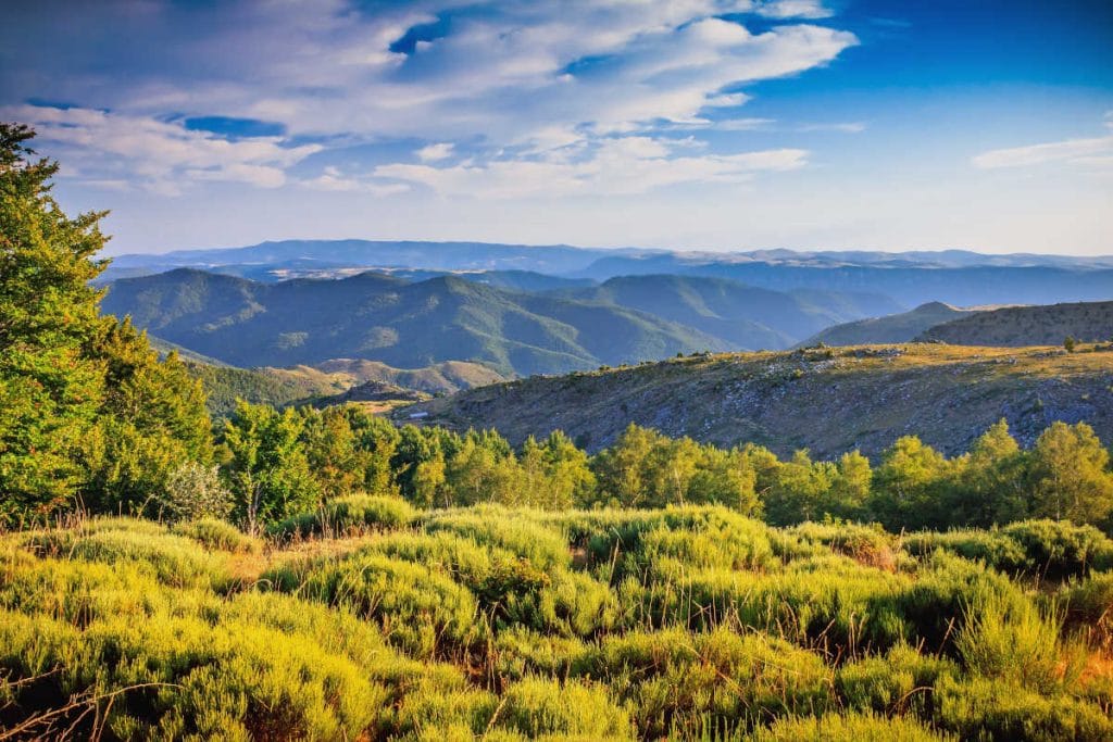 Vivre dans le Gard : 10 bonnes raisons de s’y installer en 2026 Paysage des Cévennes dans le nord du Gard