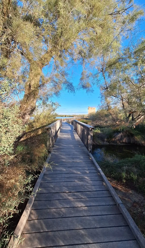 Films et publicités tournés dans le Gard : quand le département devient un décor Saint-Laurent-d'Aigouze en Camargue gardoise
