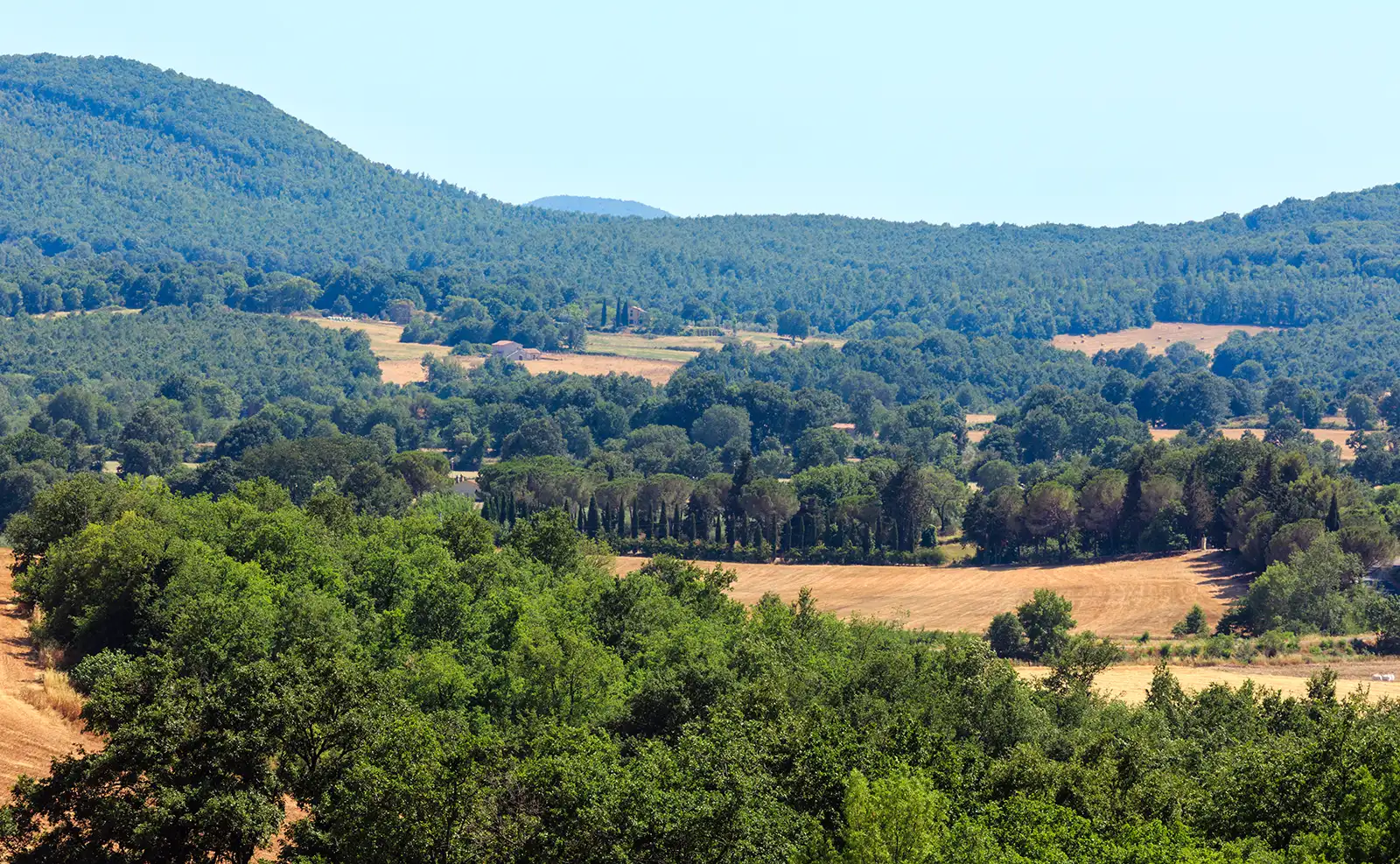 Films et publicités tournés dans le Gard : quand le département devient un décor Paysage du Gard entre garrigue, villages et reliefs